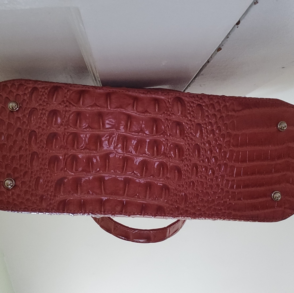Brahmin mini asher - Picture 2 of 9